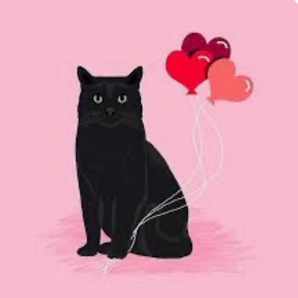 Every Girl needs a little black,Gray & Tiger/Leopard Cat Happy Valentine’s Day♥️ - Picture 6 of 16